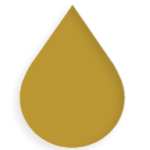 Mustard Tingle paint shade swatch preview by Homeland Paints