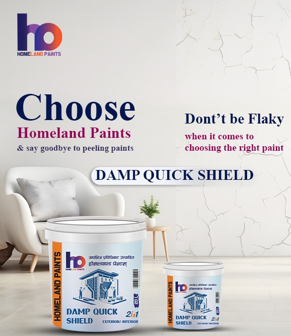 Damp Quick Shield – 2 in 1 Waterproof Protection for Interior & Exterior Walls
